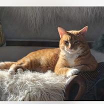 Thumbnail photo of Oliver Bentley #1