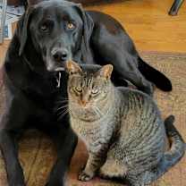 Thumbnail photo of Oliver Bentley #2