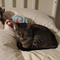 Thumbnail photo of Oliver Bentley #3