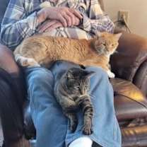 Thumbnail photo of Oliver Bentley #4