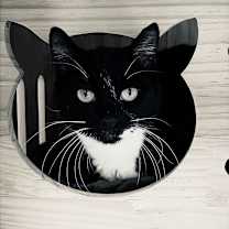 Thumbnail photo of Mister #4