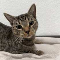 Thumbnail photo of Penelope #1