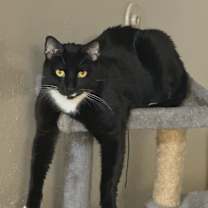 Thumbnail photo of Dear #3