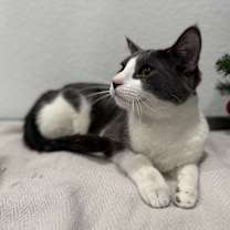 Thumbnail photo of Jackson #2