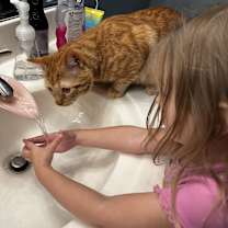 Thumbnail photo of Lucci #3