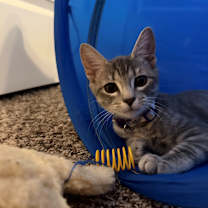 Thumbnail photo of Sabrina 4 #1