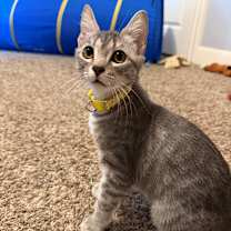 Thumbnail photo of Jill #1