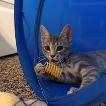 Thumbnail photo of Sabrina 4 #2