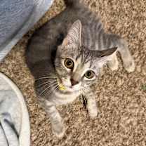 Thumbnail photo of Jill #2