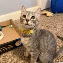 Thumbnail photo of Jill #3