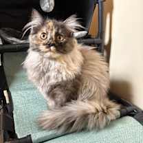 Thumbnail photo of Alexandria #1