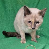 Thumbnail photo of Mrs. Huffington #1