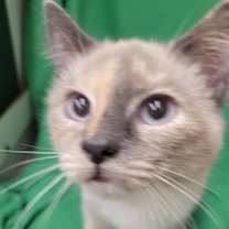 Thumbnail photo of Mrs. Huffington #3