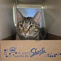 Thumbnail photo of Sky #2