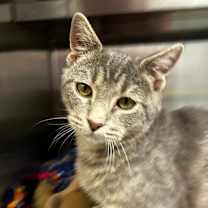 Thumbnail photo of Pier #2