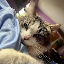 Thumbnail photo of Jane Goodall #2