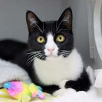 Thumbnail photo of Marty #1