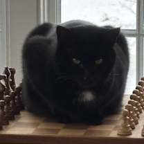 Thumbnail photo of Kaukie #2