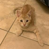 Thumbnail photo of Jill (9367) #1