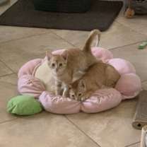 Thumbnail photo of Jill (9367) #2