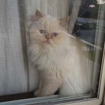 Thumbnail photo of Beauty #1