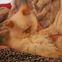 Thumbnail photo of Beauty #3