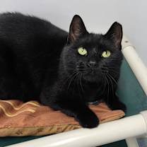 Thumbnail photo of Milo #2