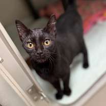 Thumbnail photo of Ella #1