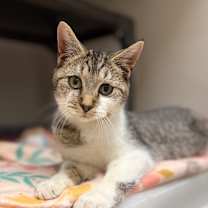 Thumbnail photo of Fiona #1