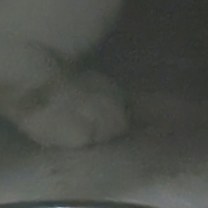 Thumbnail photo of Koyo #2