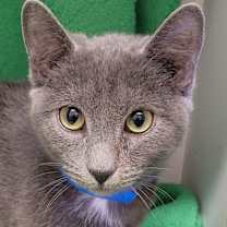 Thumbnail photo of Ryan #1