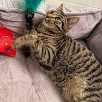 Thumbnail photo of Seb #1