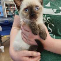 Thumbnail photo of Holly #1