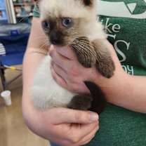 Thumbnail photo of Holly #2