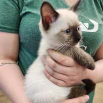 Thumbnail photo of Holly #3