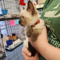 Thumbnail photo of Holly #4