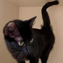 Thumbnail photo of Sophia #1