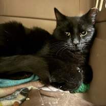 Thumbnail photo of Lula #1