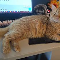 Thumbnail photo of Jeremiah #3