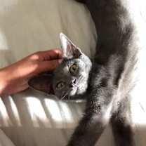 Thumbnail photo of Link #2