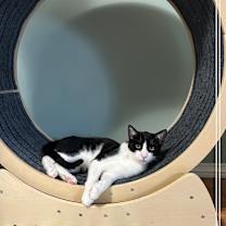 Thumbnail photo of Harry #1