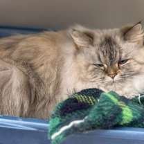 Thumbnail photo of Princess and Kiki #1