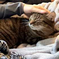 Thumbnail photo of Sebastian #4