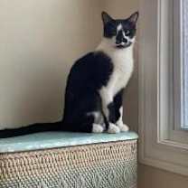 Thumbnail photo of Marlow #1