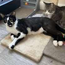 Thumbnail photo of Marlow #2