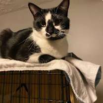 Thumbnail photo of Marlow #3