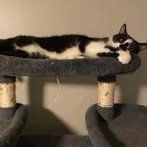 Thumbnail photo of Marlow #4