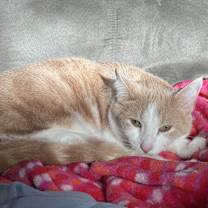 Thumbnail photo of June #1