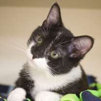 Thumbnail photo of Caroline #2