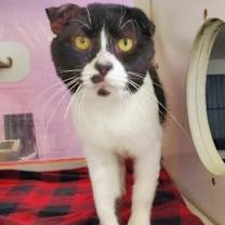 Thumbnail photo of Melvin #1